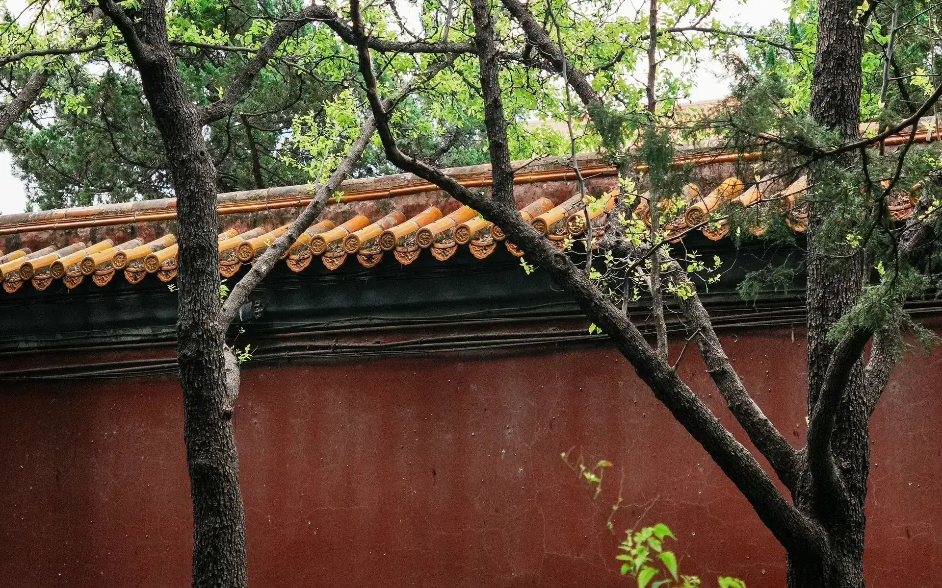 城中靜廬